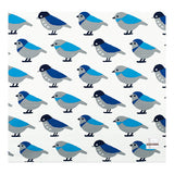 HAMAMONYO Large Furoshiki Wrapping Cloth - Birds