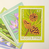 Scots Pine Stamp - A5 Risograph Print
