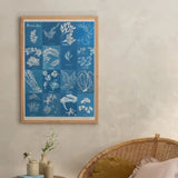 British Algae Cyanotype Impressions A3 Art Print