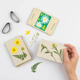Studio Wald Daisy Pocket Flower Press