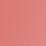 Toyo Steel T 190 Toolbox Coral