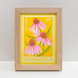 Echinacea Stamp - A5 Risograph Print