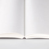 Stalogy 018 Editor's Series 365 days notebook A5