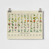 Wildflowers A3 Art Print