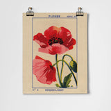 Coquelicot - Poppy Fine Art Print A3
