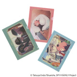 SPY x FAMILY: Hobonichi Clear Folder Set of 3 for A6 Size