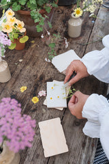 Studio Wald Forget-Me-Not Pocket Flower Press