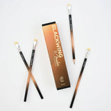 Blackwing X Fender Limited Edition Box of 12 Pencils