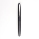 Pilot Cocoon Fountain Pen - Metallic Grey