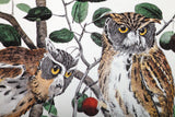 Field Notes Birds & Trees of North America Pocket Notebooks - 3 Pack