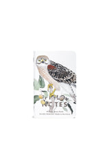 Field Notes Birds & Trees of North America Pocket Notebooks - 3 Pack