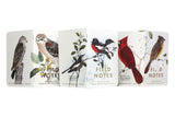 Field Notes Birds & Trees of North America Pocket Notebooks - 3 Pack