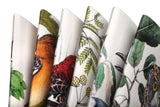 Field Notes Birds & Trees of North America Pocket Notebooks - 3 Pack
