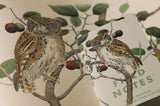 Field Notes Birds & Trees of North America Pocket Notebooks - 3 Pack