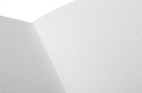 Field Notes Summer 2026 - Paletas- 3 Pack