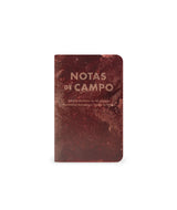 Field Notes Summer 2026 - Paletas- 3 Pack