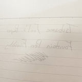 Tsubame B5 Notebook - Lined - (30 sheets/60 pages)