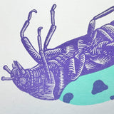 "Bugger" A5 Art Print