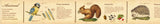 MT ex Illustrated Book of Animals Washi Tape