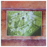 The Spirit of Japan: Festivals, Rituals, and Everyday Magic