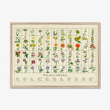 Wildflowers A3 Art Print