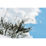 Hobonichi A5 Cover - Kyohei Sakaguchi: Field Sky