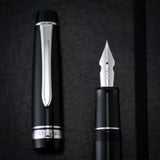 Pilot Custom Heritage 912 Fountain Pen - 14k Gold Nib