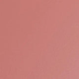Toyo Steel T 320 Trunk Toolbox Coral Pink
