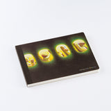 Akiko Miyakoshi: Landscape Notebook (I Dream of a Journey)