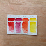 Kuretake Gansai Tambi Watercolour 12 Paint Set