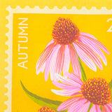 Echinacea Stamp - A5 Risograph Print