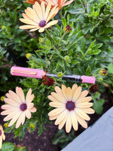 Twsbi Eco Fountain Pen - Pink Lemonade with Bronze
