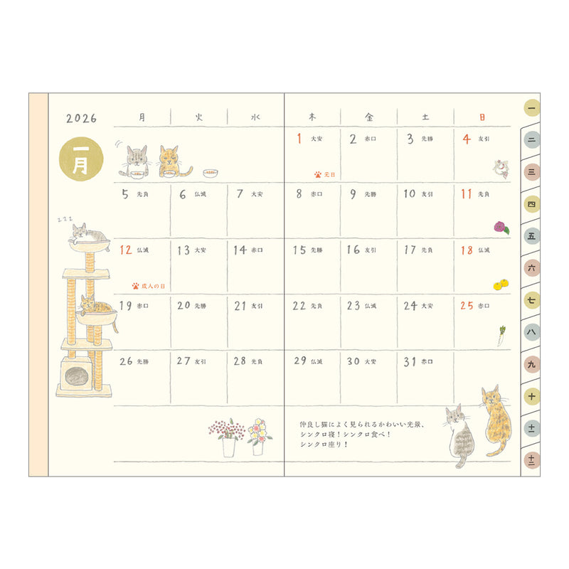 Midori Mini Pocket Monthly Diary 2026 - Cat