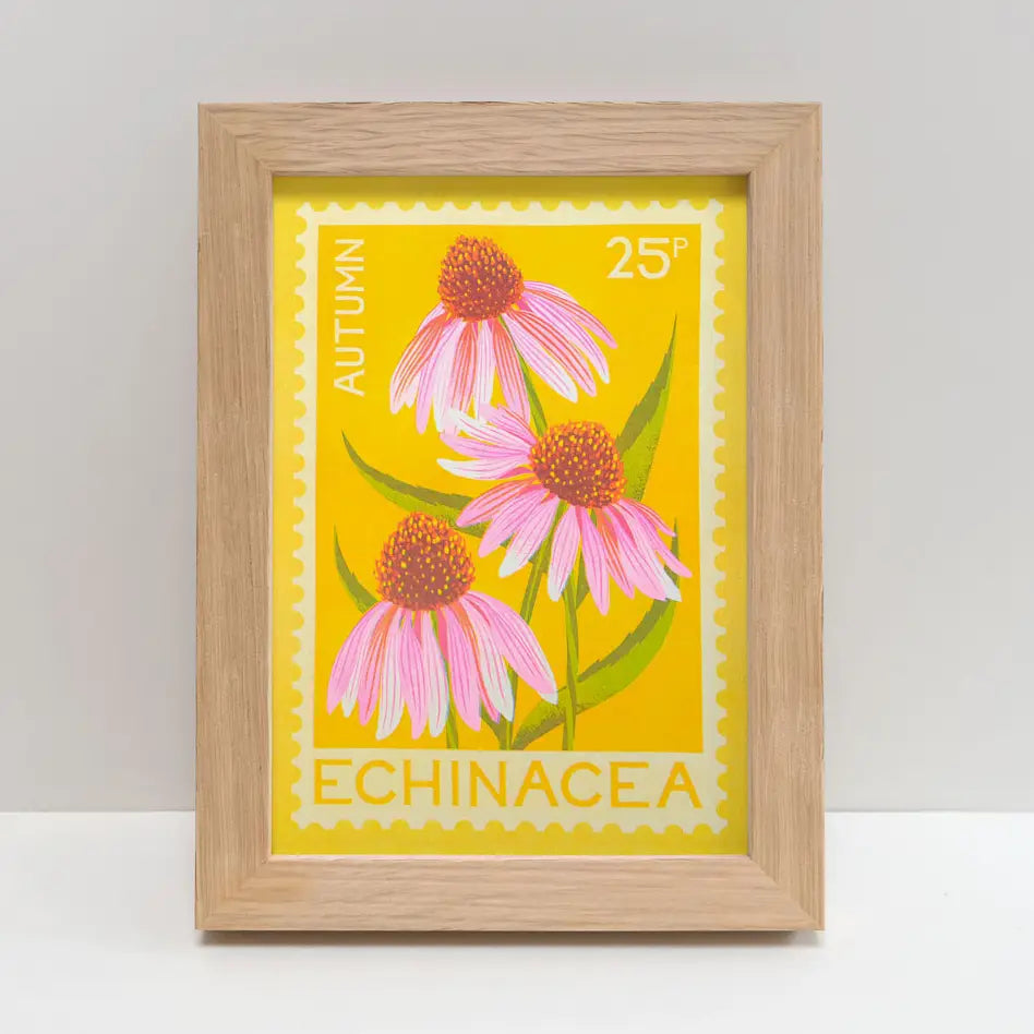 Echinacea Stamp - A5 Risograph Print