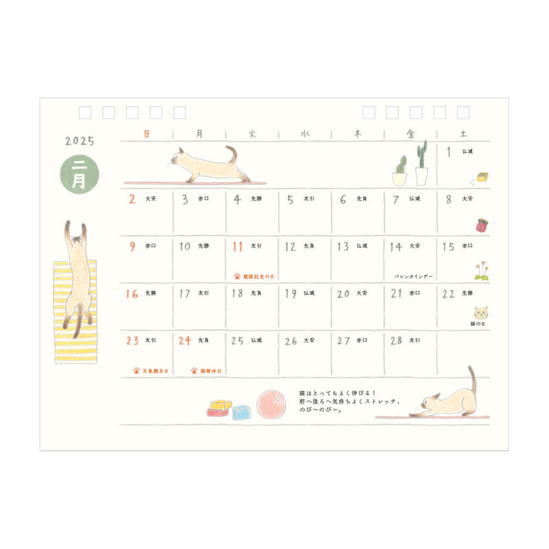 Midori 2025 Cat Ringbound Desk Calendar