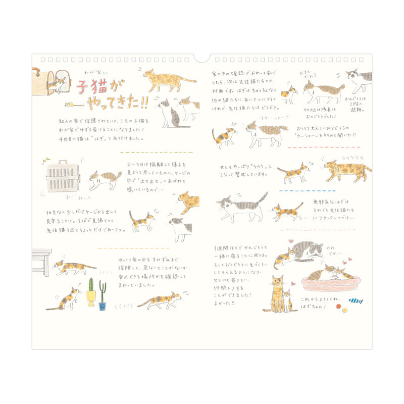 Midori 2026 Cats Wall Calendar - Large