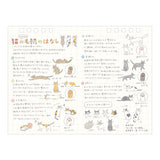 Midori 2027 Cats Desk Calendar - Medium