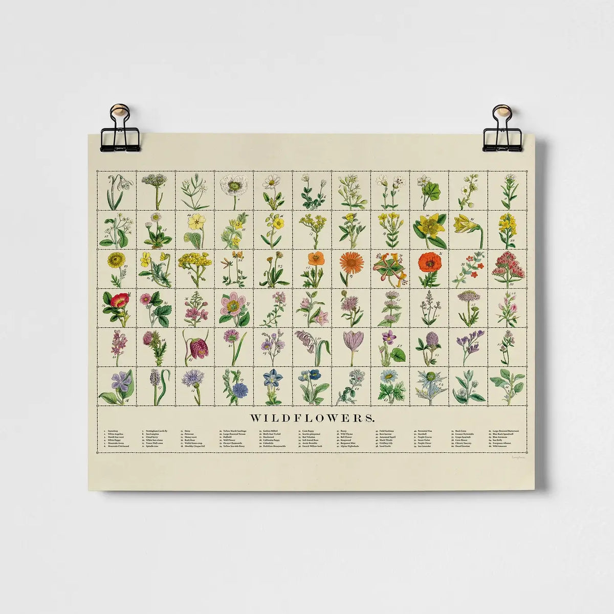 Wildflowers A3 Art Print