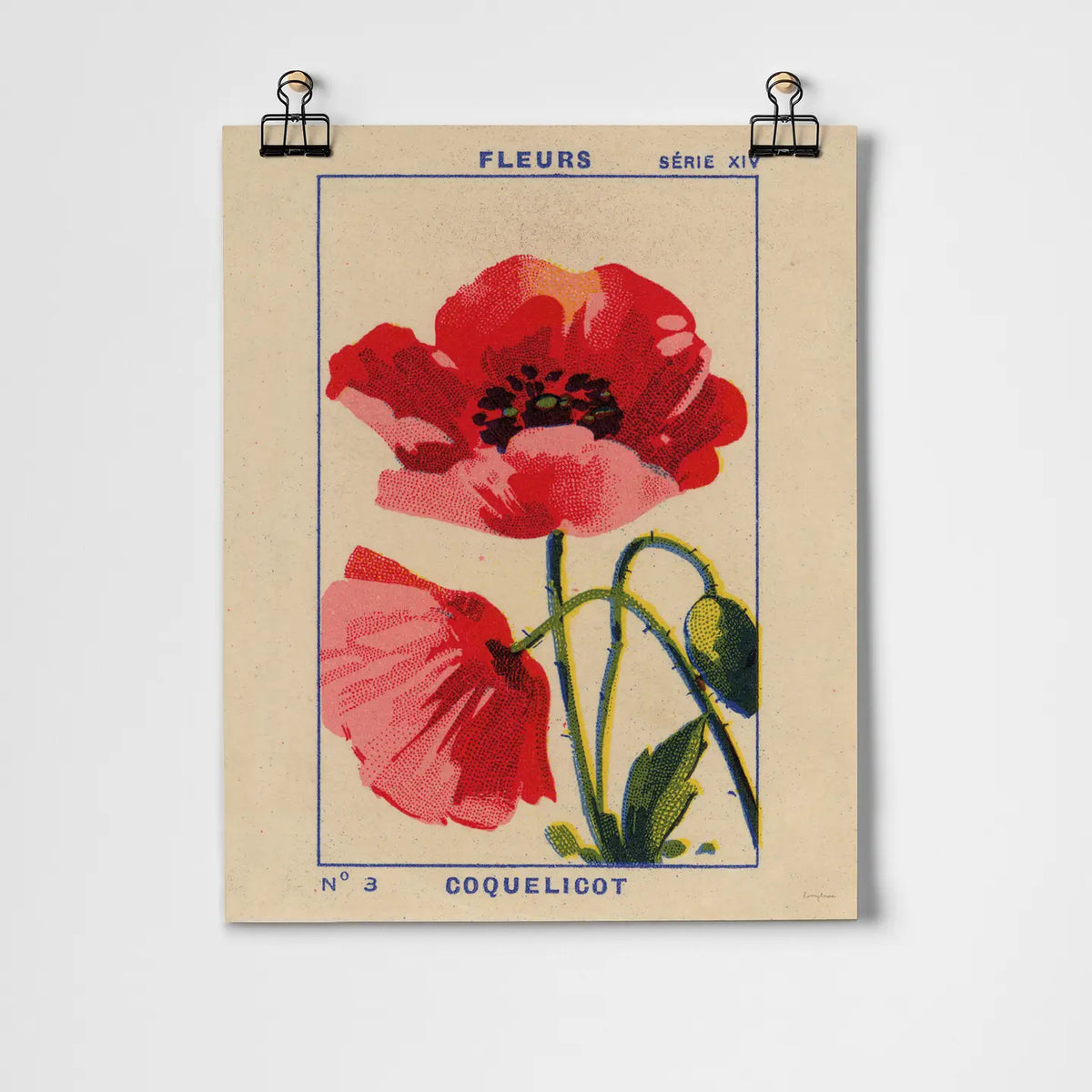 Coquelicot - Poppy Fine Art Print A3