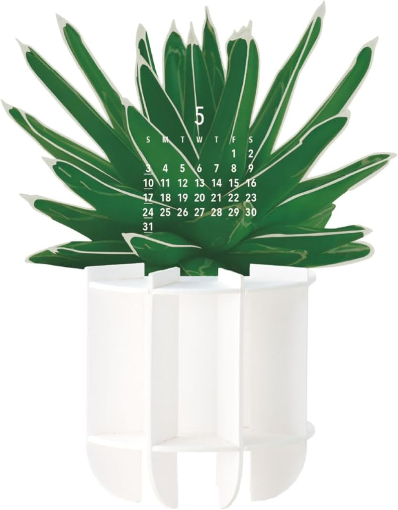 Good Morning Green Plants 2026 3D Desk Calendar