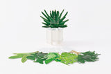 Good Morning Green Plants 2026 3D Desk Calendar