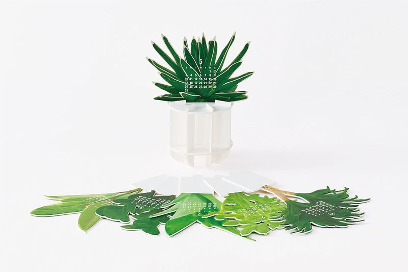 Good Morning Green Plants 2026 3D Desk Calendar