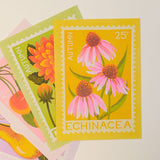 Echinacea Stamp - A5 Risograph Print