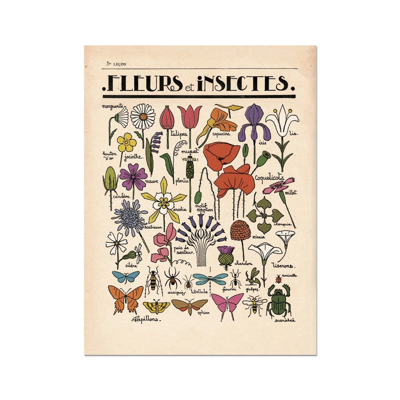 Fleurs Et Insectes A3 Art Print