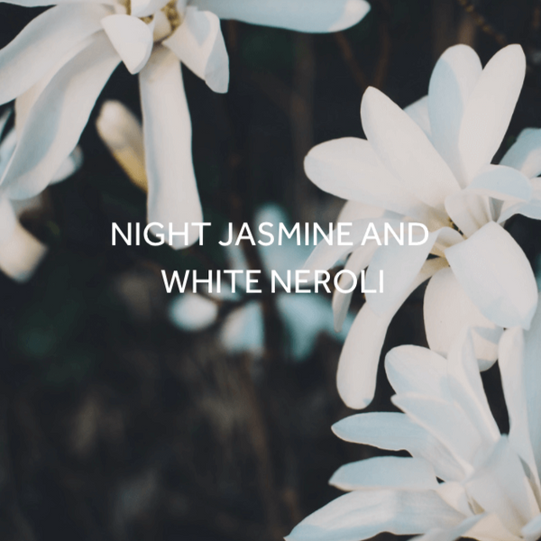 FieldDay Luna Folk Tin Candle - Night Jasmine and White Neroli
