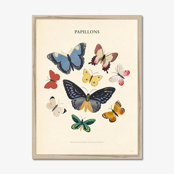 Papillons - Butterflies A3 Art Print