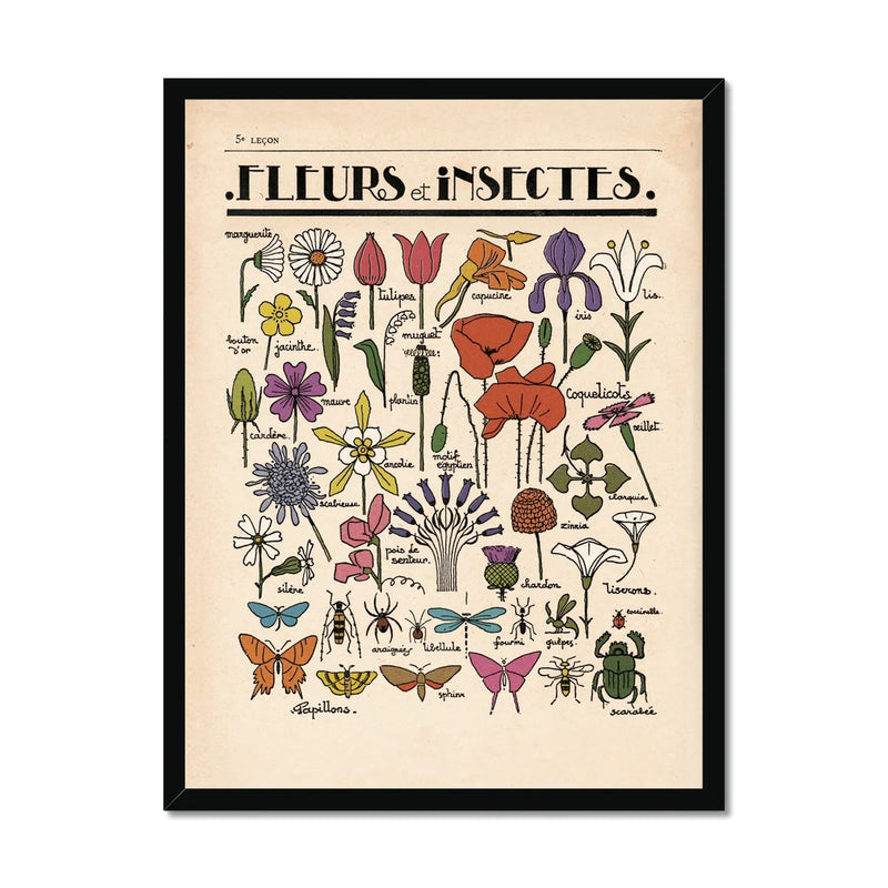 Fleurs Et Insectes A3 Art Print