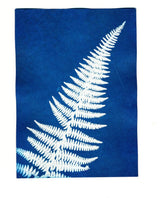 Sunography Paper - Solar Powered Photography