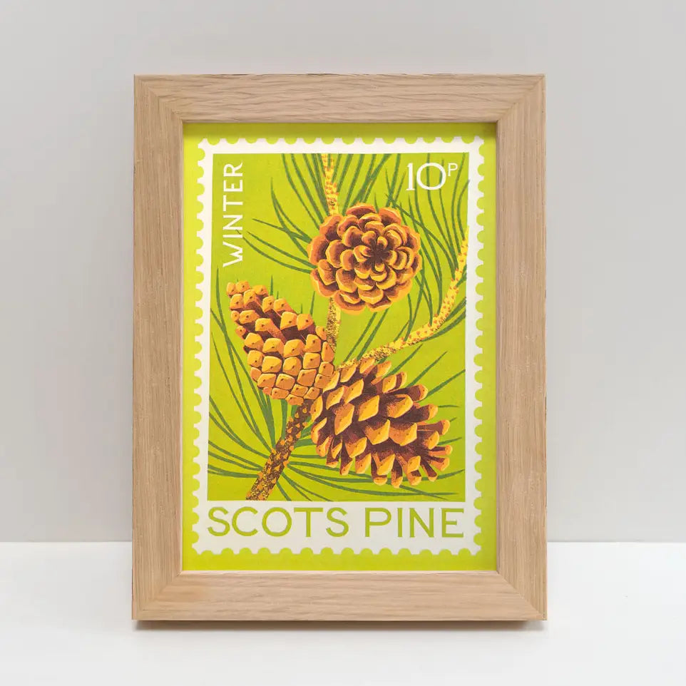 Scots Pine Stamp - A5 Risograph Print