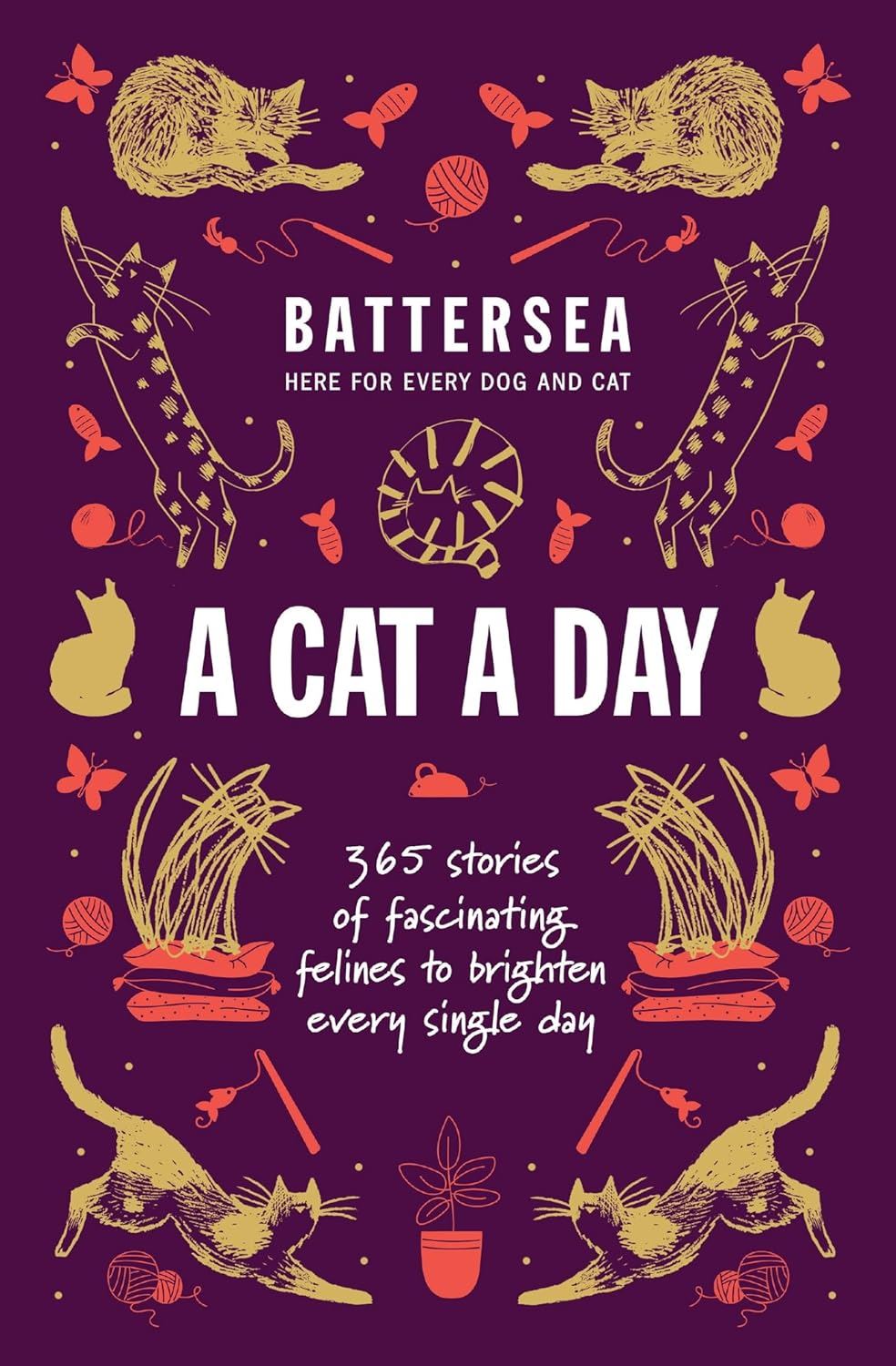 A Cat a Day: 365 Stories